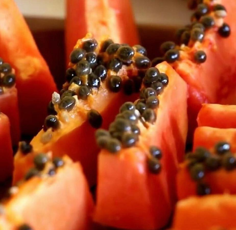 Pousada Maresia Do Sargi Uruçuca Екстериор снимка